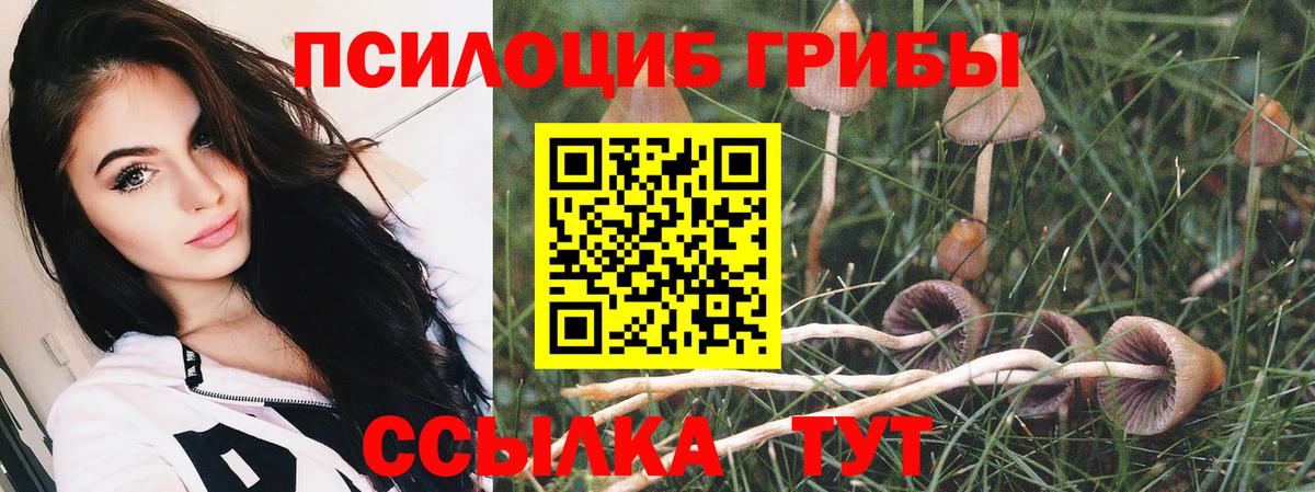 Псилоцибиновые грибы MAGIC MUSHROOMS  Галлюциногенные грибы ЛСД  Вход с VPN  Пугачёв 